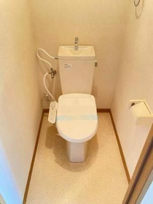 �y���̑��z�@�g�C��