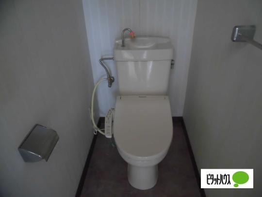 �y���̑��z�@�g�C��