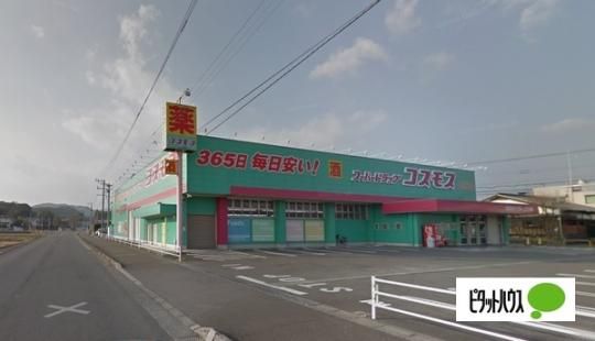 �y���Ӂz�@�f�B�X�J�E���g�h���b�O�R�X���X��F215m