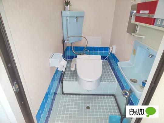�y���̑��z�@�g�C��