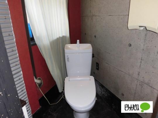 �y���̑��z�@�g�C��