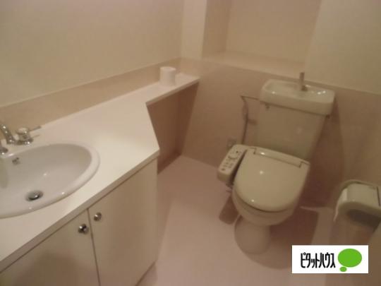�y���̑��z�@�g�C��