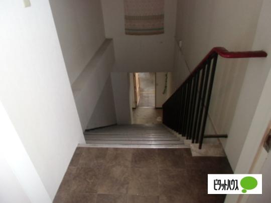 �y���̑��z�@���̑�