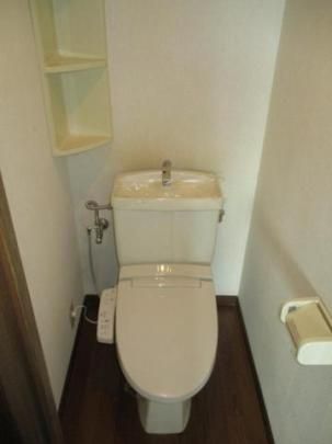 �y���̑��z�@�g�C��