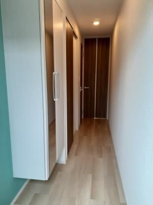 �y���̑��z�@����