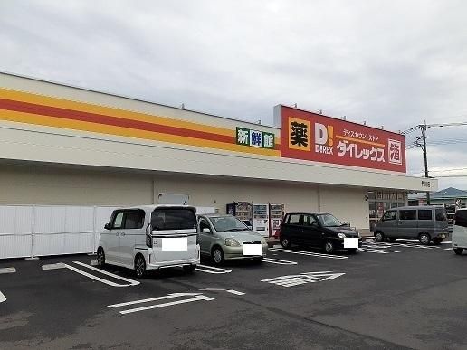 �y���Ӂz�@�_�C���b�N�X���X�F1600m