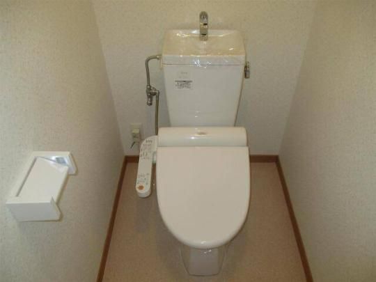 �y���̑��z�@�g�C��