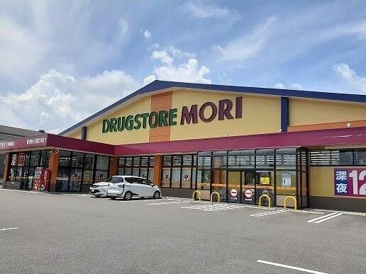 �y���Ӂz�@�h���b�O�X�g�A�������m���X�F1300m