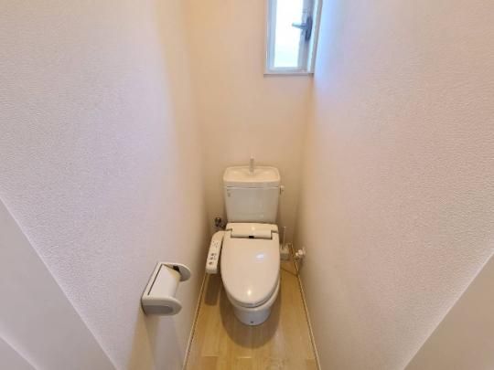 �y���̑��z�@�g�C��