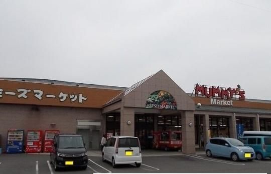 �y���Ӂz�@�}�~�[�Y�}�[�P�b�g�o�k�X�F500m