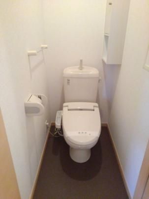 �y���̑��z�@�g�C��