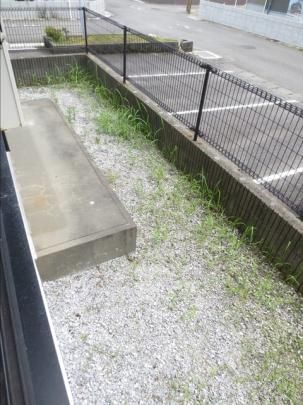 �y���̑��z�@A101�@��p��