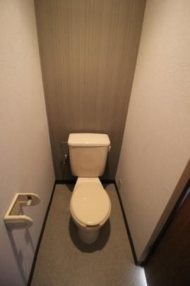 �y���̑��z�@�g�C��