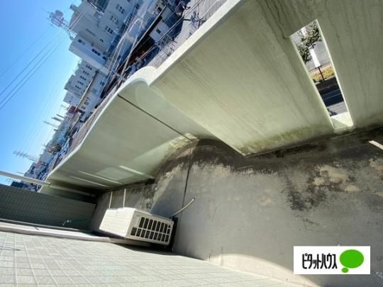 �y���̑��z�@�o���R�j�[