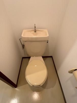 �y���̑��z�@�g�C��