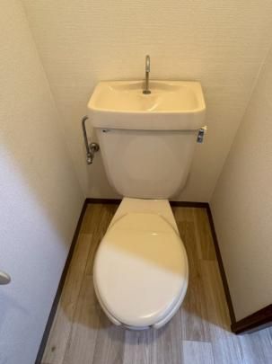 �y���̑��z�@�g�C��