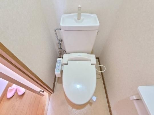 �y���̑��z�@�g�C��