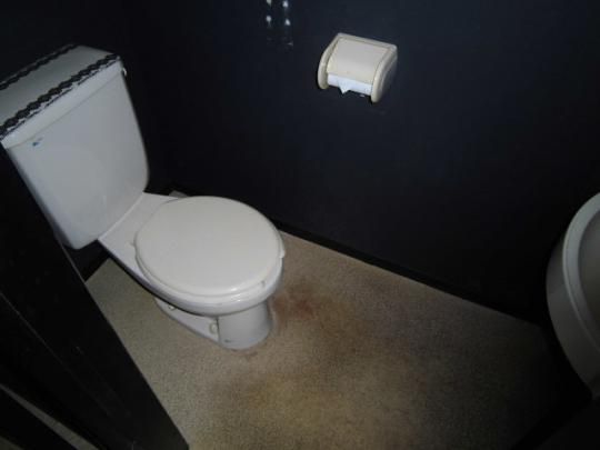 �y���̑��z�@�g�C��