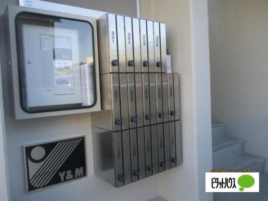 �y�����O�ρz�@�G���g�����X