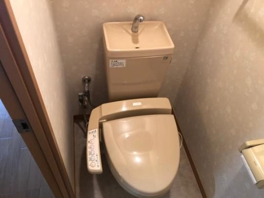 �y���̑��z�@�g�C��