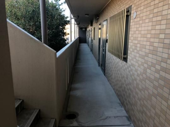 �y�����O�ρz�@�G���g�����X