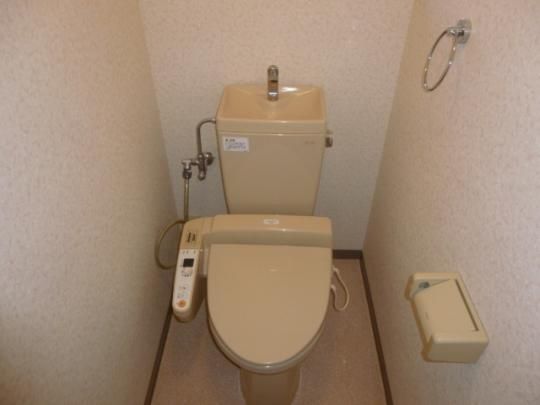 �y���̑��z�@�g�C��