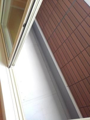 �y���̑��z�@�o���R�j�[