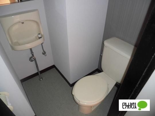 �y���̑��z�@�g�C��