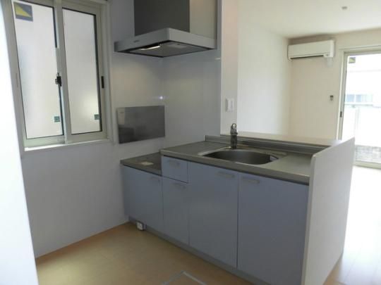 �y���̑��z�@�a106�@�ΖʃL�b�`��