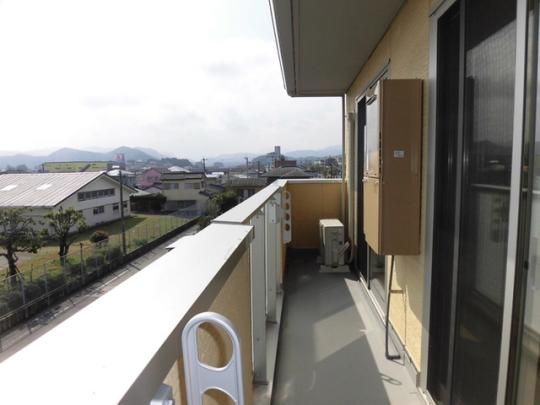 �y���̑��z�@307�@�x�����_