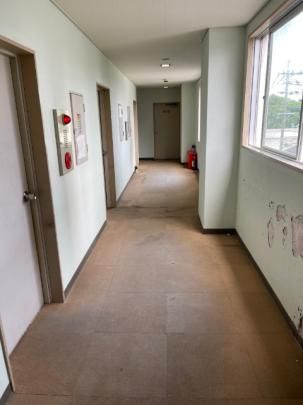 �y���̑��z�@�G���g�����X