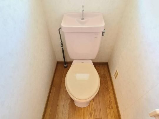 �y���̑��z�@�g�C��