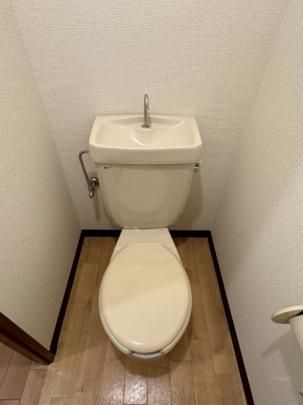 �y���̑��z�@�g�C��