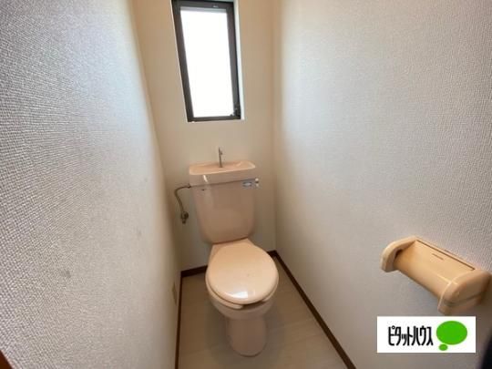 �y���̑��z�@�g�C��