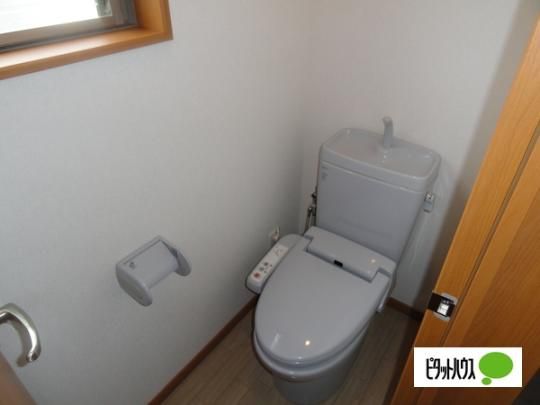 �y���̑��z�@�g�C��