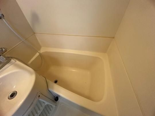 �y���̑��z�@�o�X�^�V�����[