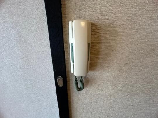 �y���̑��z�@�Z�L�����e�B