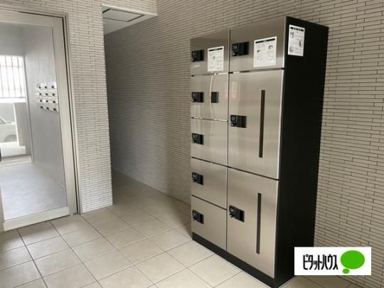 �y�����O�ρz�@���L����