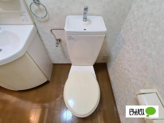 �y���̑��z�@�g�C��